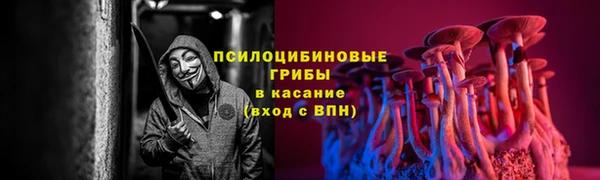 стаф Кодинск