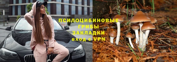 стаф Кодинск