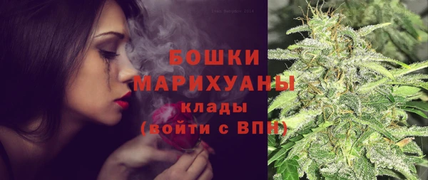 стаф Кодинск