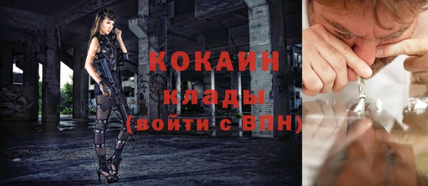 стаф Кодинск