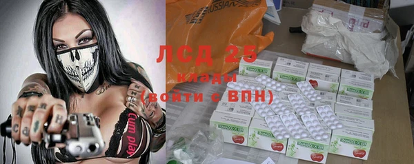 стаф Кодинск