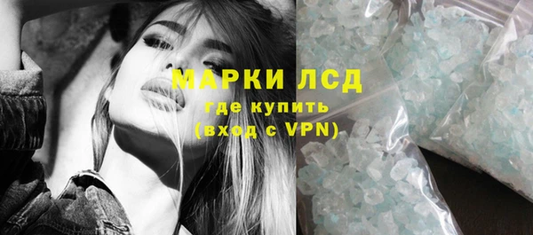 стаф Кодинск