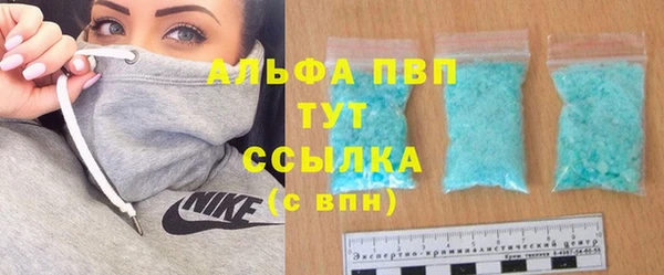 стаф Кодинск